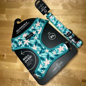 Lucy & Co Harness and Collar